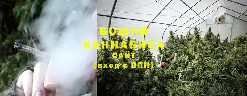 Шишки марихуана SATIVA & INDICA  Камышин 